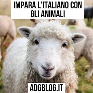impara l'italiano con gli animali
