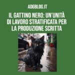 il gattino nero